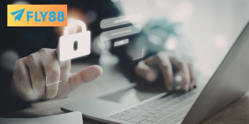 Phạm vi phủ sóng của các điều khoản riêng tư quan trọng 